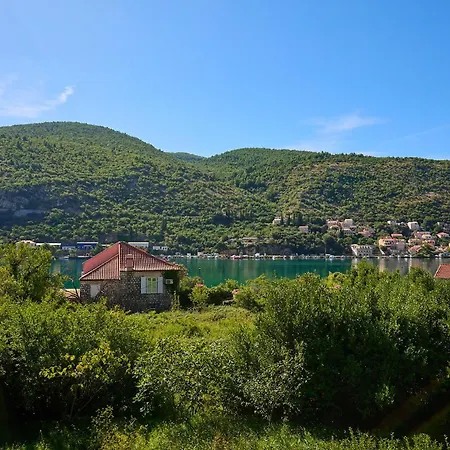 Hedera Estate, Hedera X Мокошица