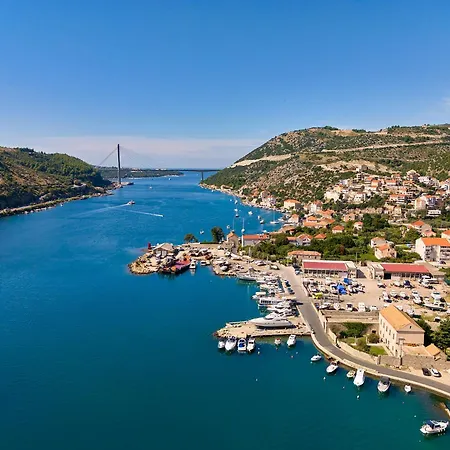 Hedera Estate, Hedera X *