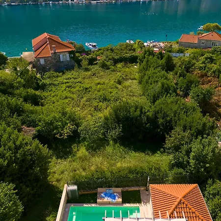 Hedera Estate, Hedera X * Mokošica