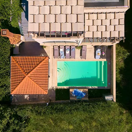 Hedera Estate, Hedera X