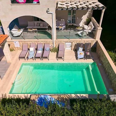 Hedera Estate, Hedera X * Mokošica