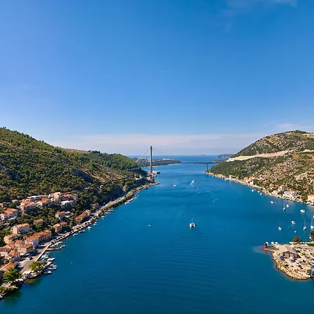 Hedera Estate, Hedera X