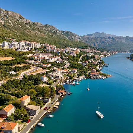 Hedera Estate, Hedera X