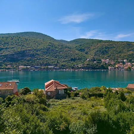 Hedera Estate, Hedera X * Mokošica