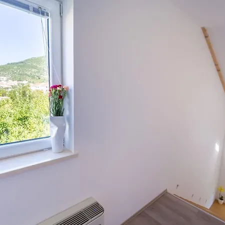 Hedera Estate, Hedera X Mokošica