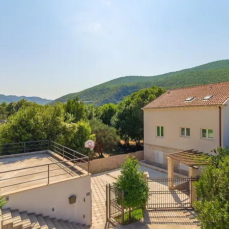 Hedera Estate, Hedera X