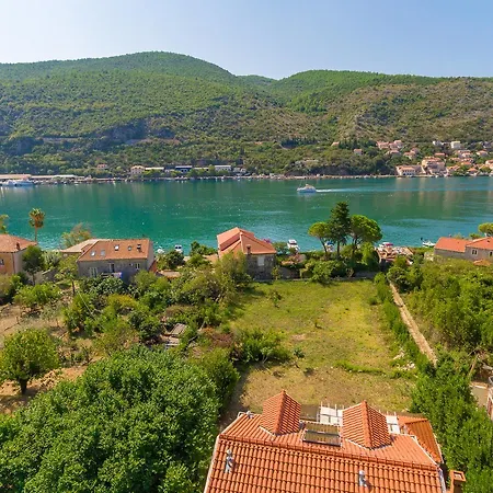 Villa Hedera Estate, Hedera X