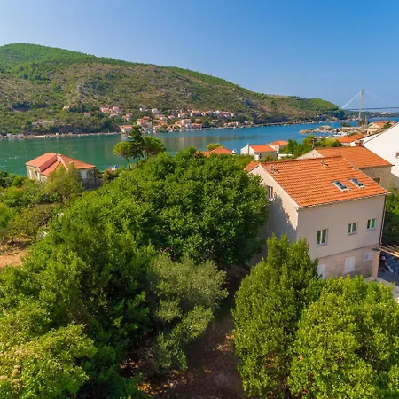 Hedera Estate, Hedera X