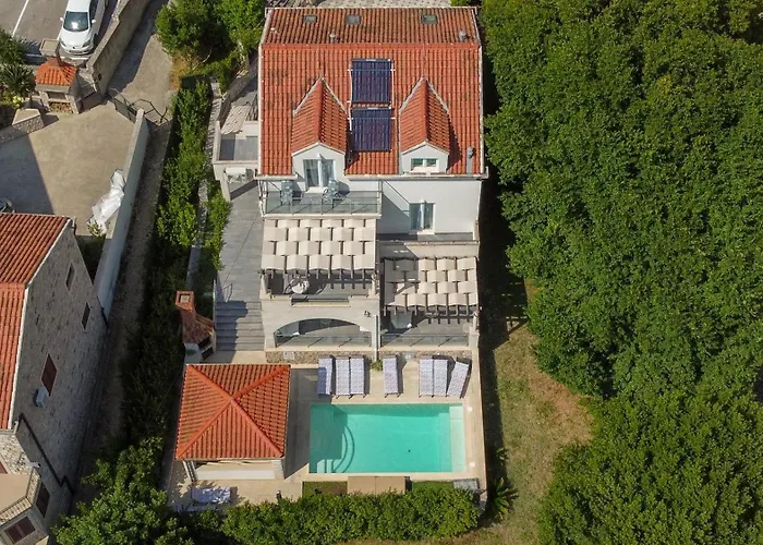 Hedera Estate, Hedera X *