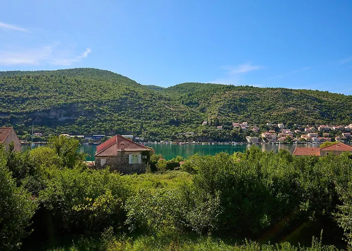 Hedera Estate, Hedera X Mokošica