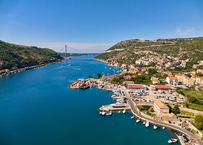 Hedera Estate, Hedera X *