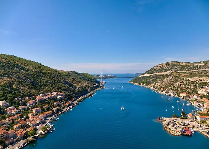 Hedera Estate, Hedera X