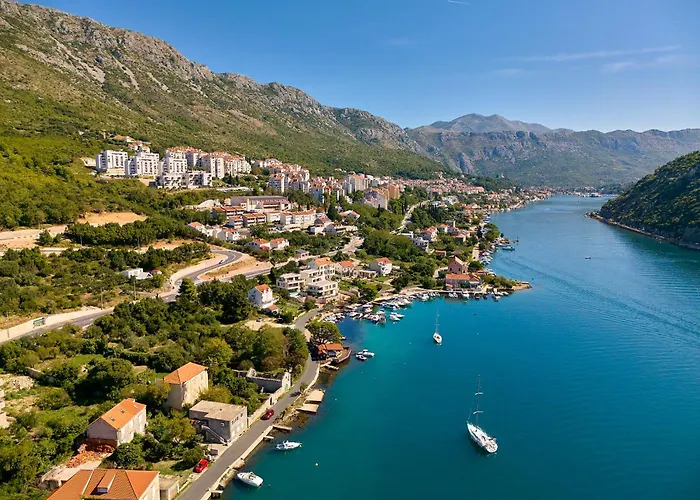 Hedera Estate, Hedera X