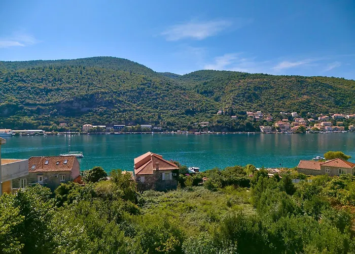 Hedera Estate, Hedera X * Mokošica