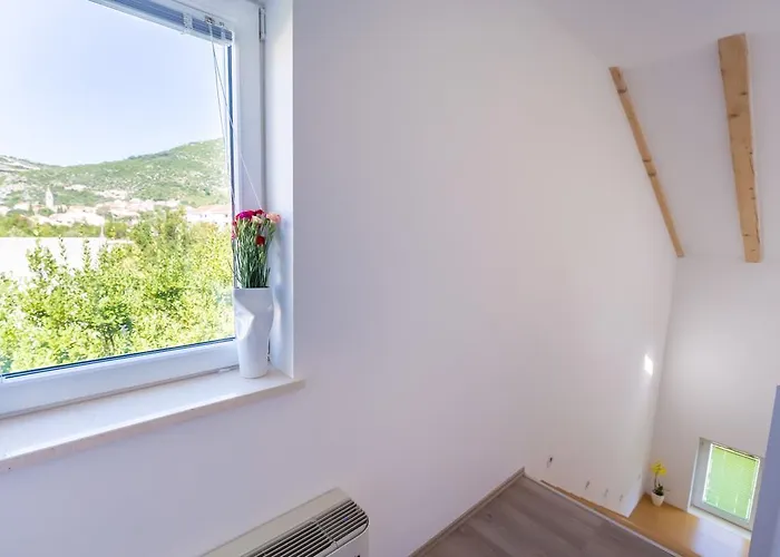 Hedera Estate, Hedera X Mokošica