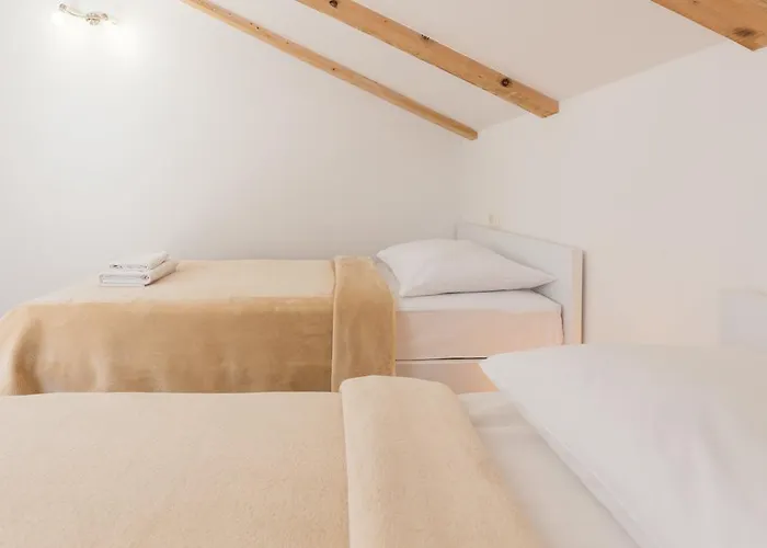 Hedera Estate, Hedera X