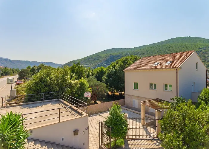 Hedera Estate, Hedera X