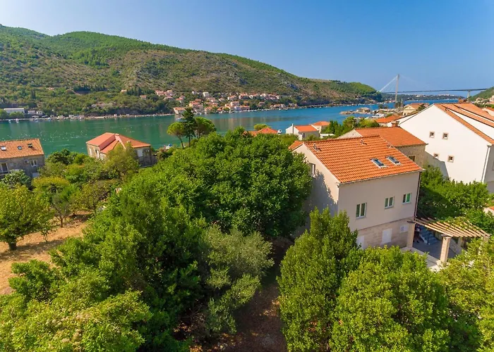 Hedera Estate, Hedera X